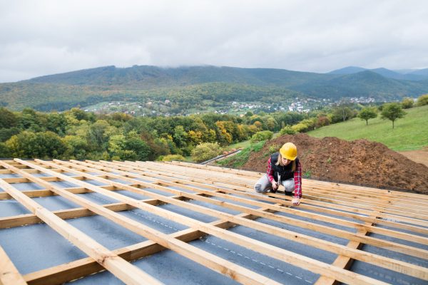 envato_ZXHWX7Z_1762178517